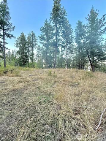 0 Tbd Buzzard Lake Road Okanogan WA 98840