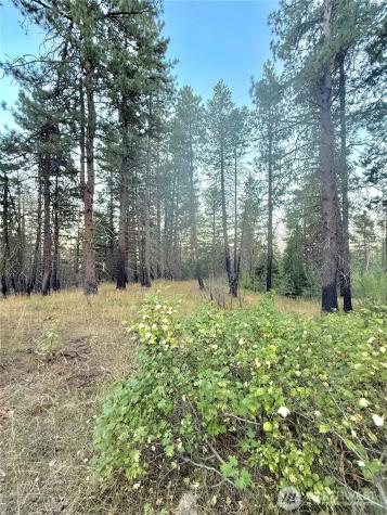 0 Tbd Buzzard Lake Road Okanogan WA 98840