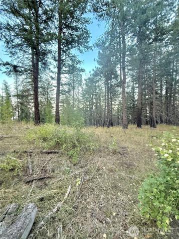 0 Tbd Buzzard Lake Road Okanogan WA 98840