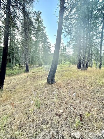 0 Tbd Buzzard Lake Road Okanogan WA 98840