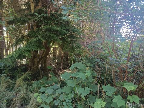 0 Lot 14 Teronda Coupeville WA 98239