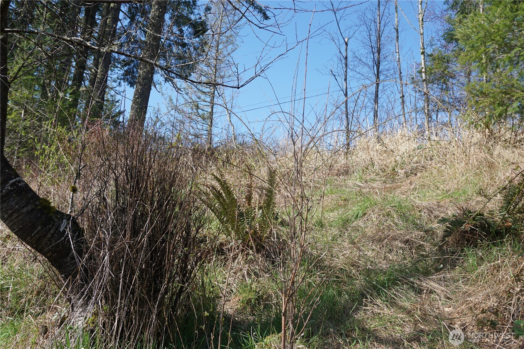 50215 146th Avenue E Eatonville WA 98328