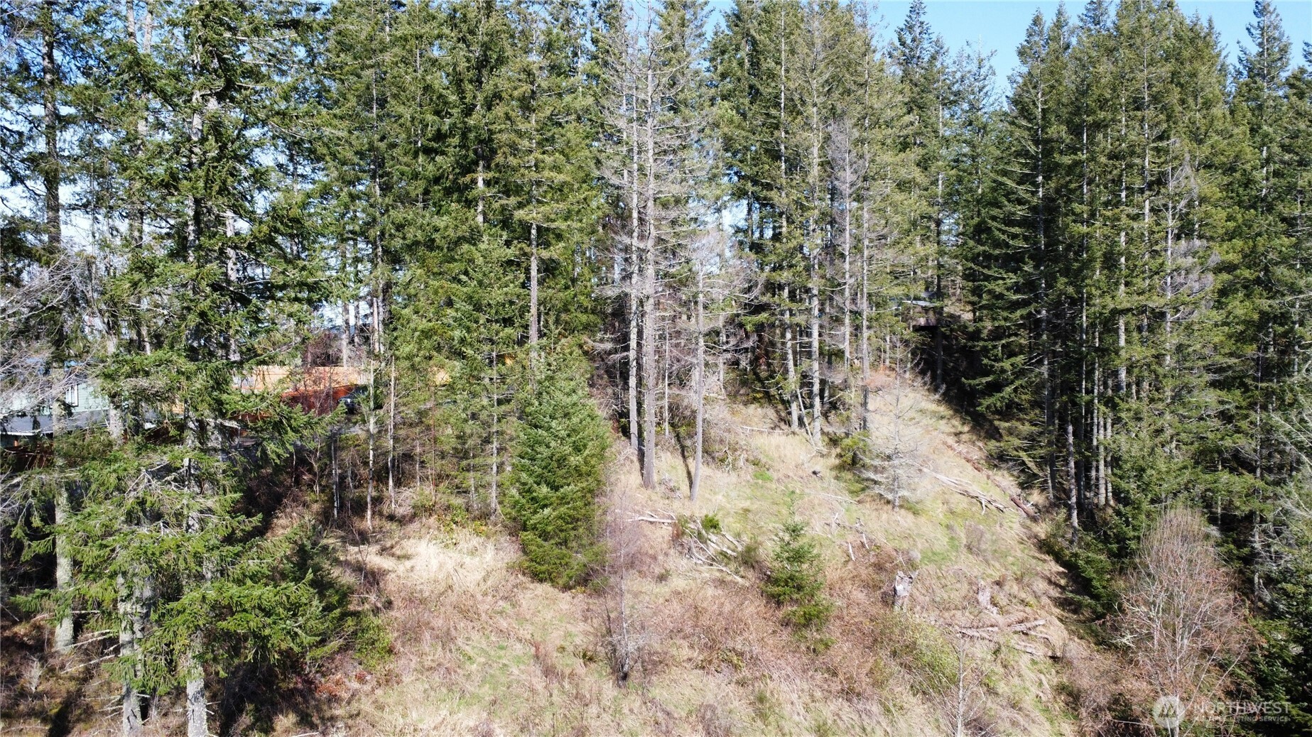 50215 146th Avenue E Eatonville WA 98328