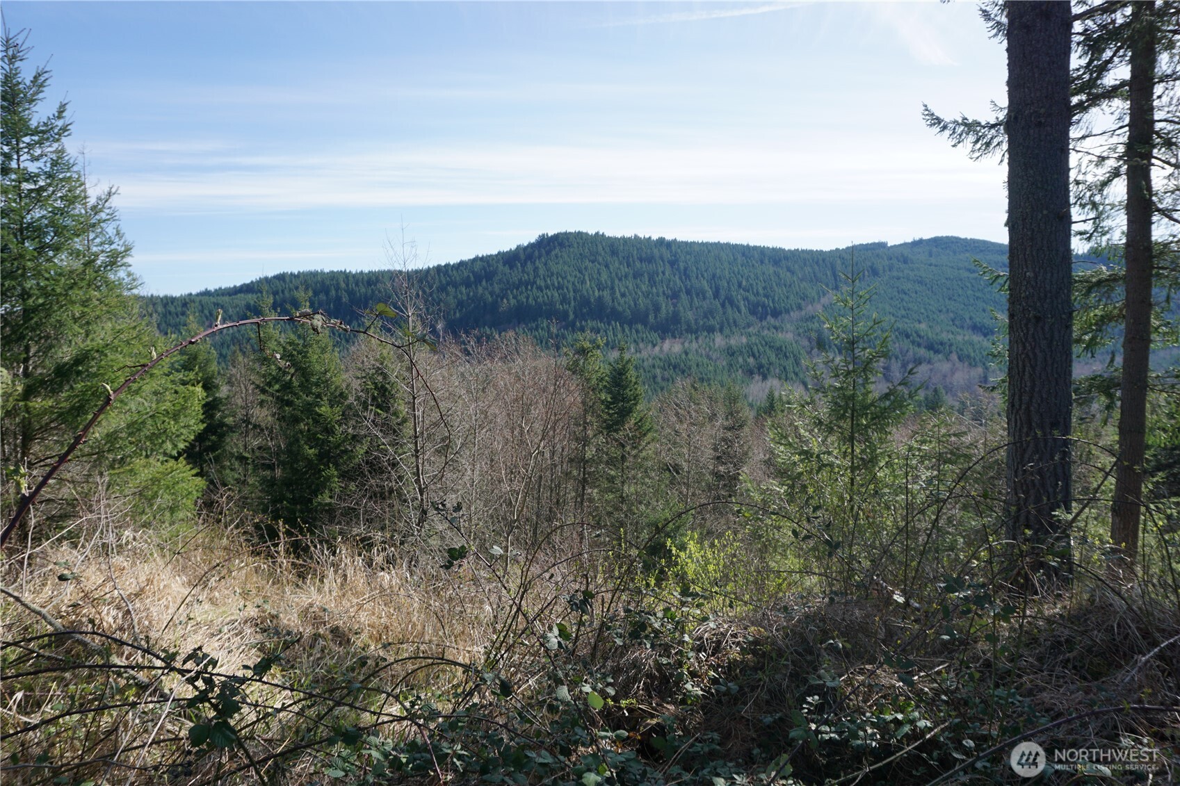 50215 146th Avenue E Eatonville WA 98328