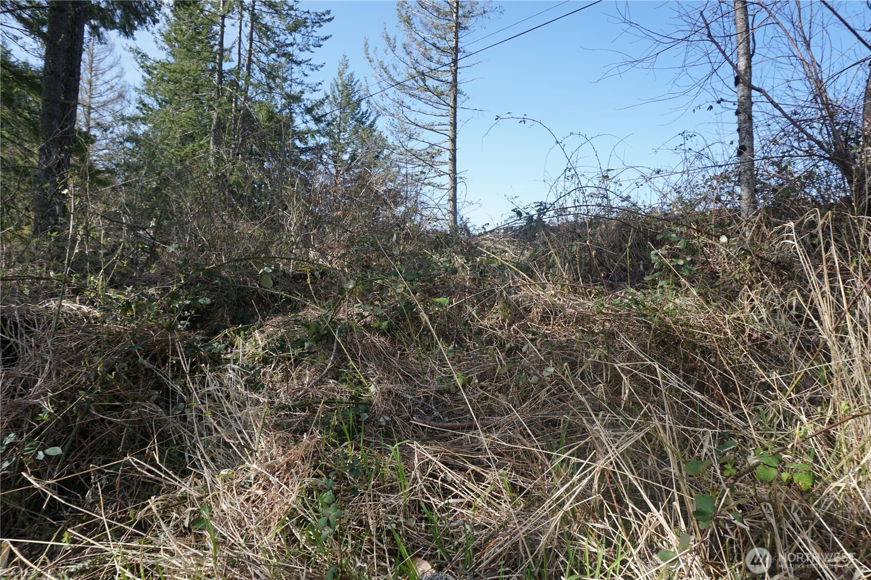 50215 146th Avenue E Eatonville WA 98328