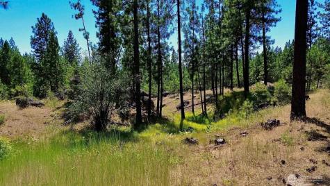 5687 Corkscrew Canyon Road Tumtum WA 99034