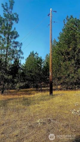 5687 Corkscrew Canyon Road Tumtum WA 99034