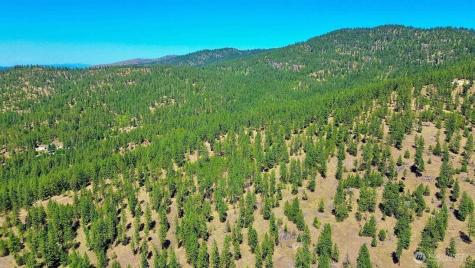 5687 Corkscrew Canyon Road Tumtum WA 99034