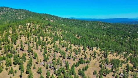 5687 Corkscrew Canyon Road Tumtum WA 99034
