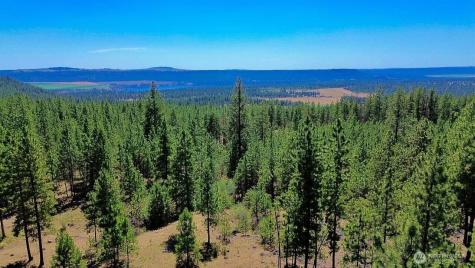 5687 Corkscrew Canyon Road Tumtum WA 99034