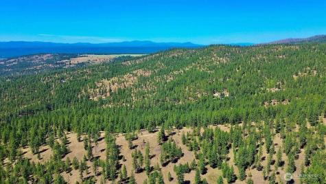 5687 Corkscrew Canyon Road Tumtum WA 99034