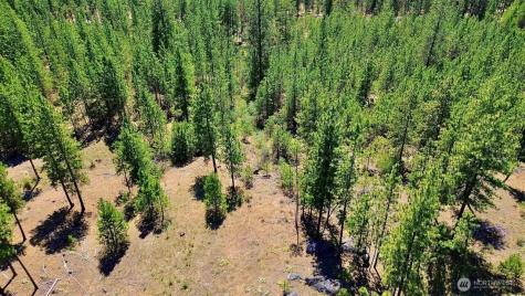 5687 Corkscrew Canyon Road Tumtum WA 99034