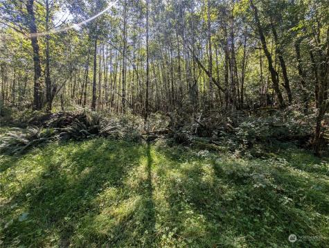 99993 Dowans Creek Road Forks WA 98331