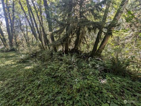 99993 Dowans Creek Road Forks WA 98331