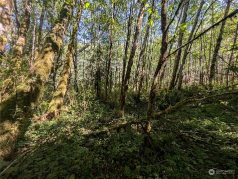 99993 Dowans Creek Road Forks WA 98331