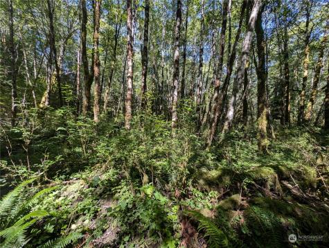 99993 Dowans Creek Road Forks WA 98331