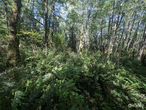 99993 Dowans Creek Road Forks WA 98331