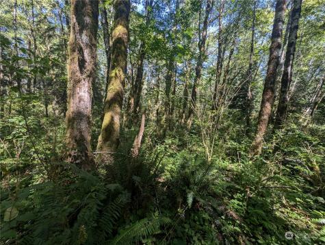 99993 Dowans Creek Road Forks WA 98331