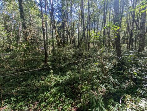 99993 Dowans Creek Road Forks WA 98331