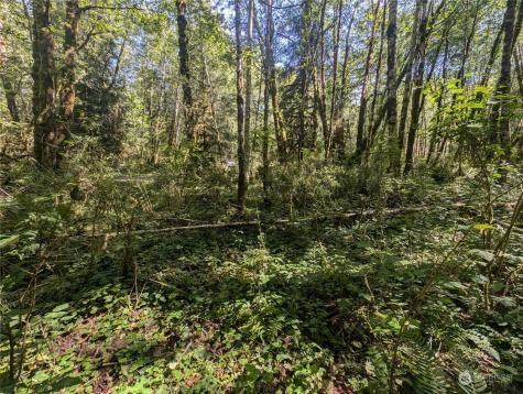 99993 Dowans Creek Road Forks WA 98331