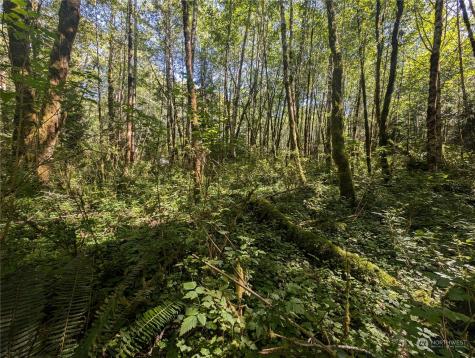 99993 Dowans Creek Road Forks WA 98331