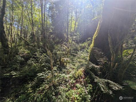 99993 Dowans Creek Road Forks WA 98331