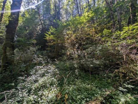 99993 Dowans Creek Road Forks WA 98331