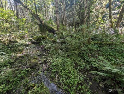 99993 Dowans Creek Road Forks WA 98331
