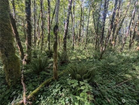 99993 Dowans Creek Road Forks WA 98331
