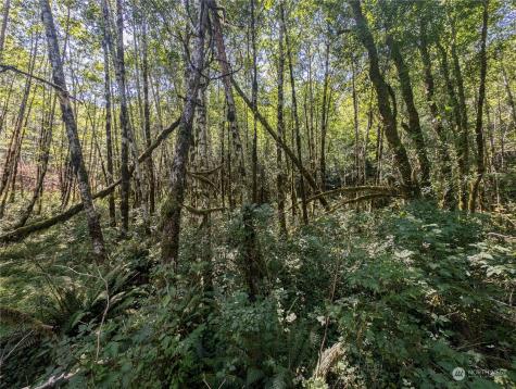 99993 Dowans Creek Road Forks WA 98331