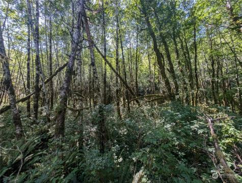 99993 Dowans Creek Road Forks WA 98331
