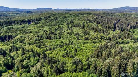 99993 Dowans Creek Road Forks WA 98331