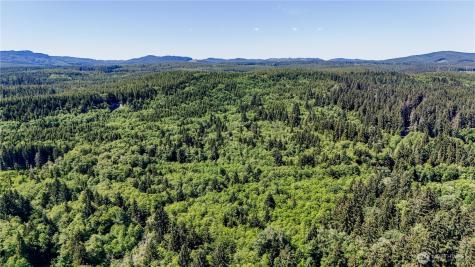99993 Dowans Creek Road Forks WA 98331