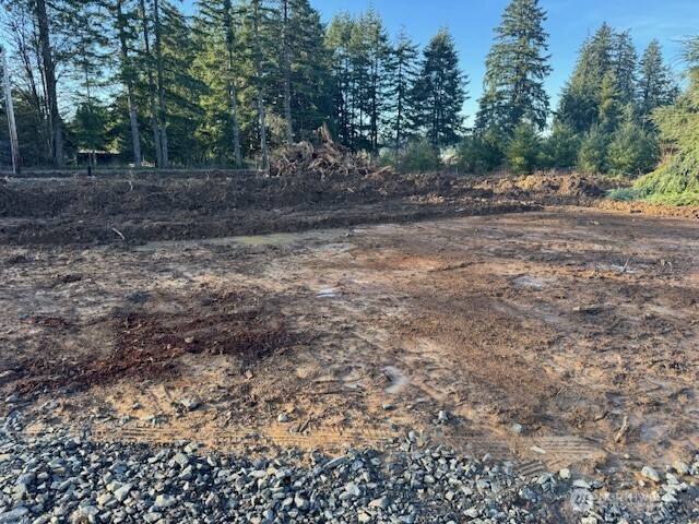 380 Hawkins Road Winlock WA 98596