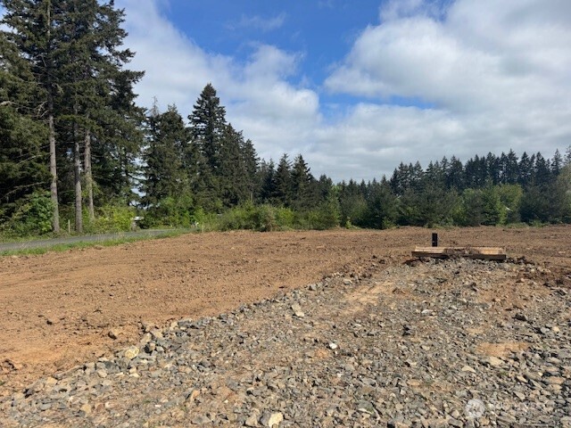 380 Hawkins Road Winlock WA 98596