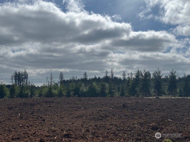380 Hawkins Road Winlock WA 98596