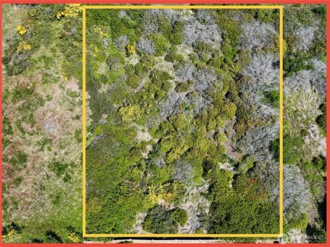 415 N Portal Loop SW Ocean Shores WA 98569