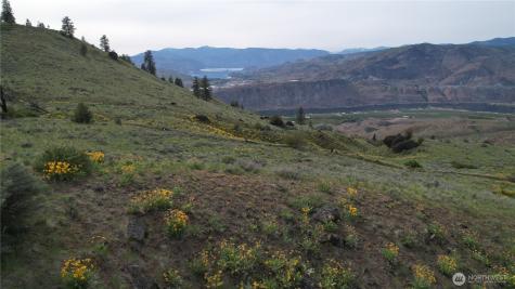 0 Coyote's Curve Road Orondo WA 98843