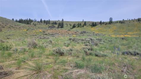 0 Coyote's Curve Road Orondo WA 98843