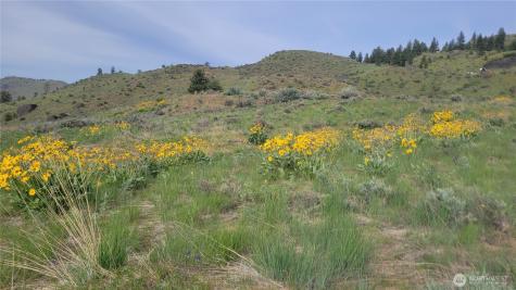 0 Coyote's Curve Road Orondo WA 98843