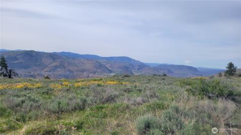 0 Coyote's Curve Road Orondo WA 98843