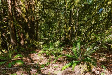 7817 E Hilldale Road Port Orchard WA 98366
