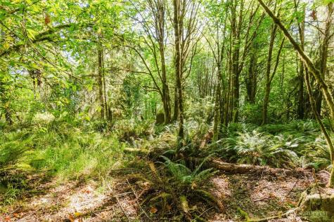 7817 E Hilldale Road Port Orchard WA 98366