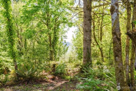 7817 E Hilldale Road Port Orchard WA 98366