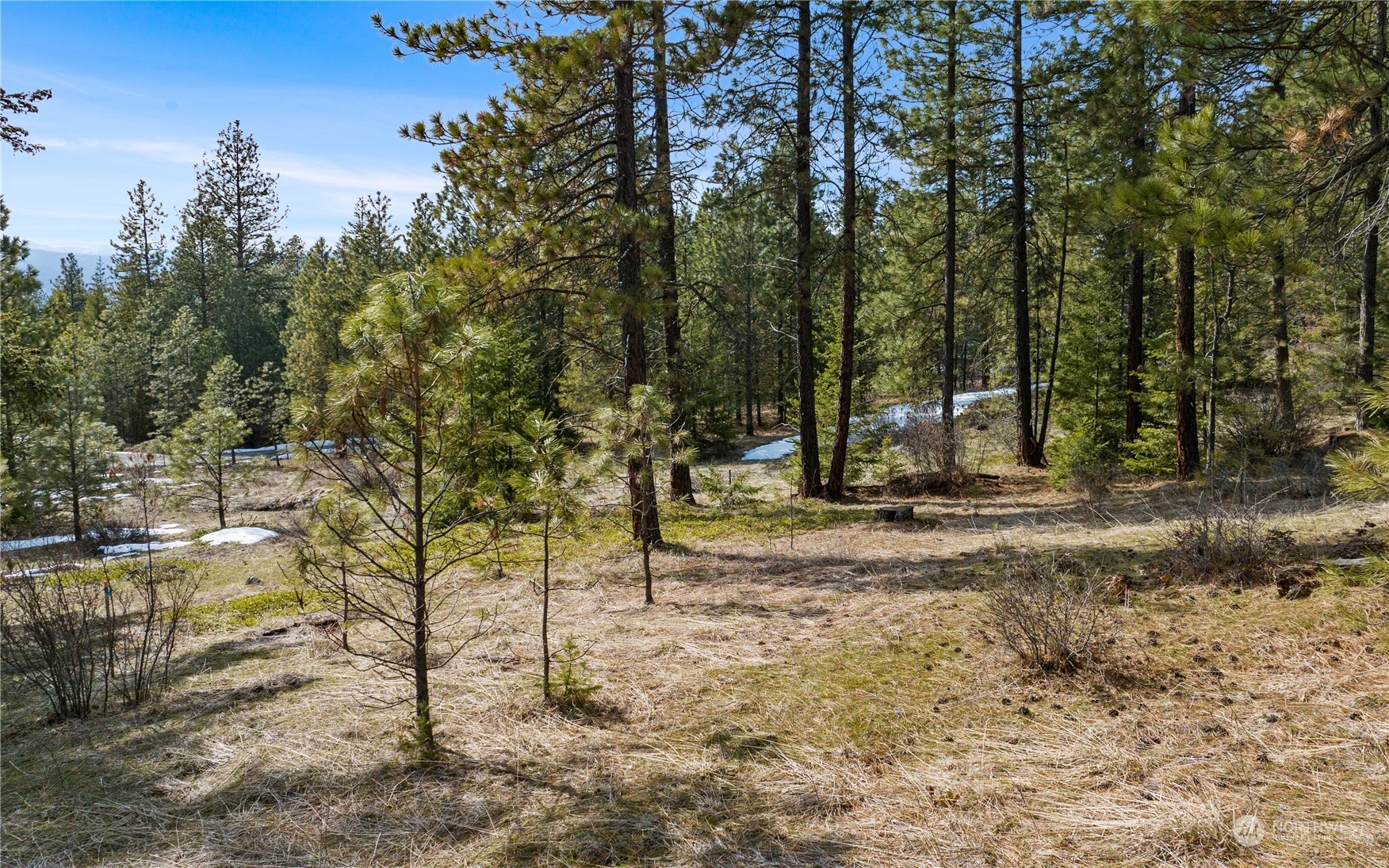 676 Forest Ridge Drive Cle Elum WA 98922