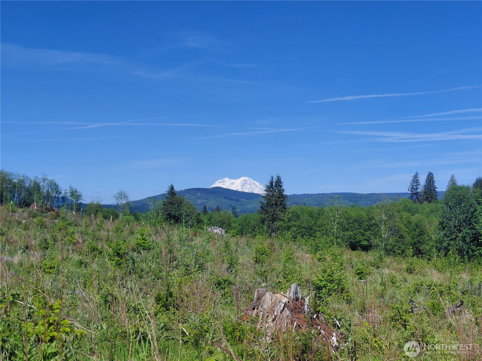 195 Hagen Road Mossyrock WA 98564