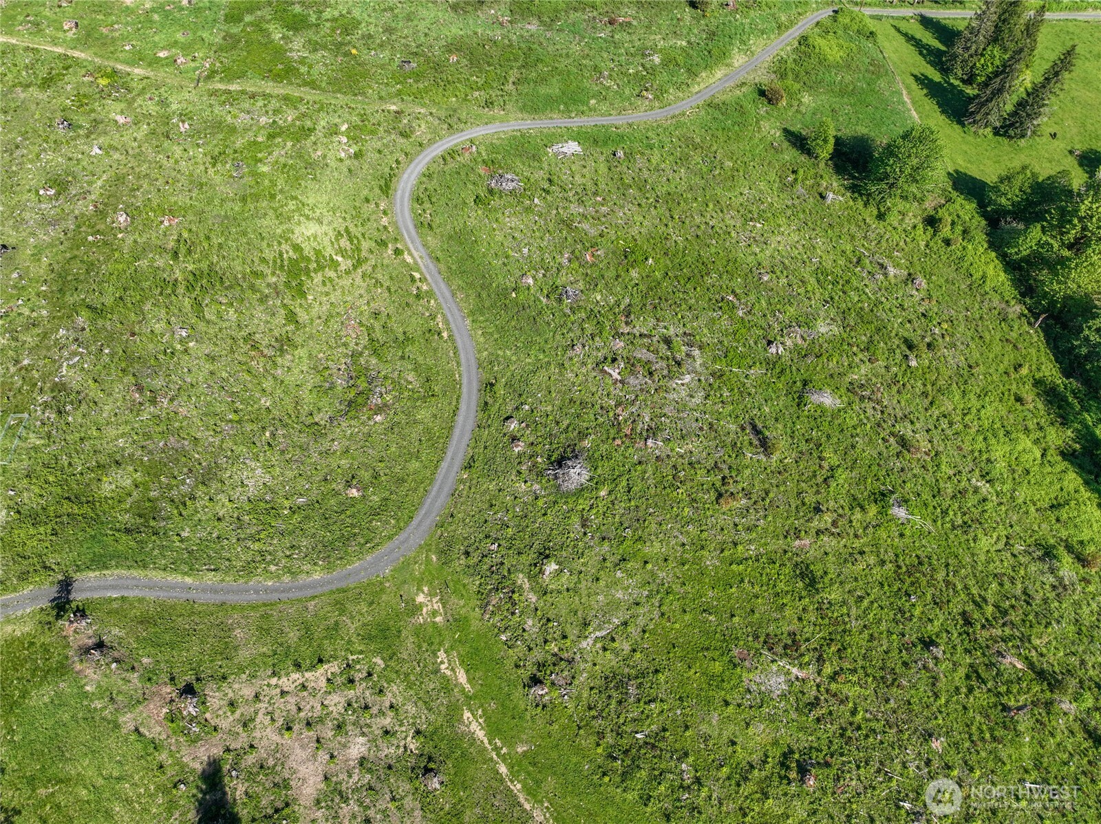 195 Hagen Road Mossyrock WA 98564