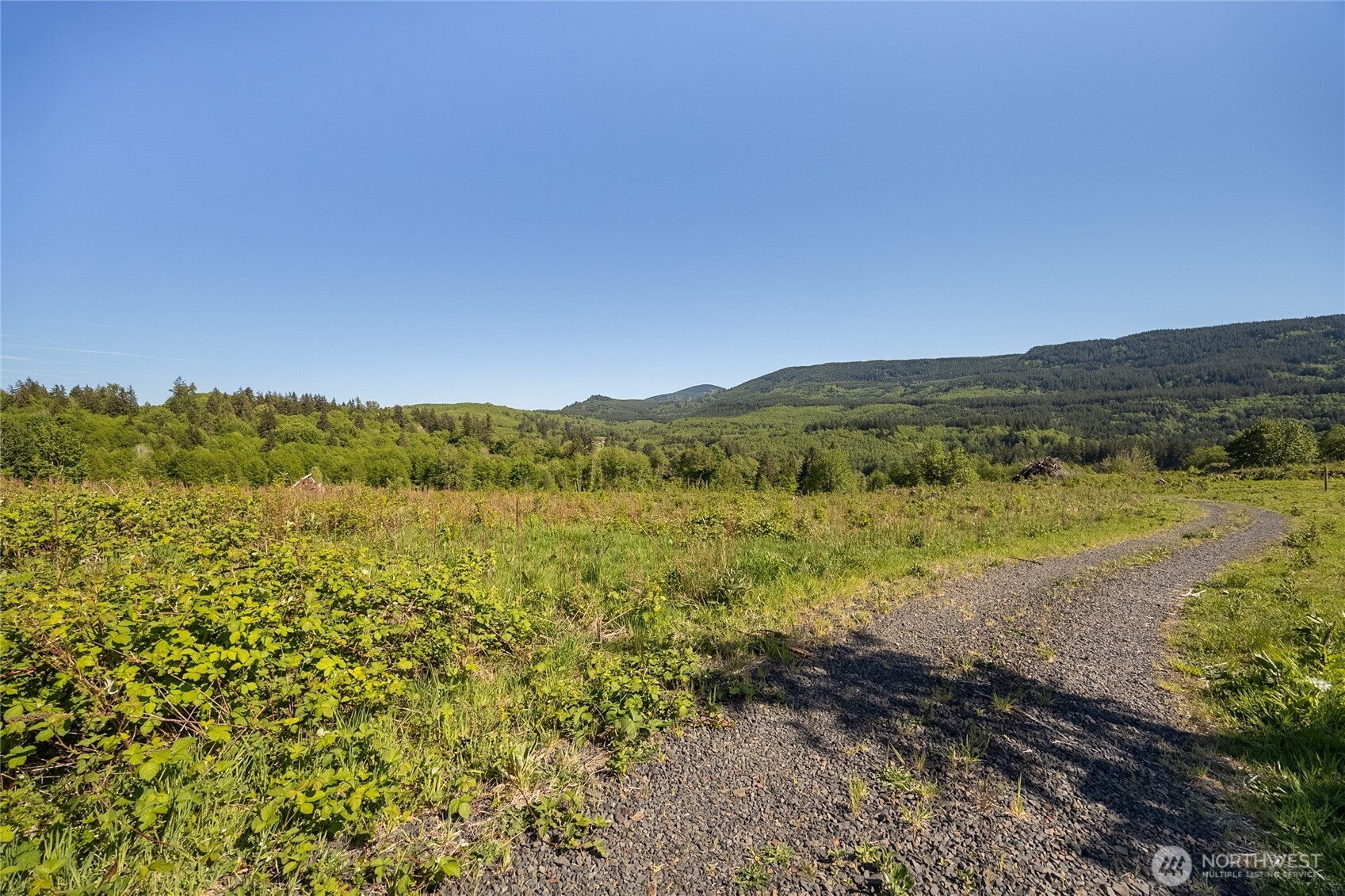 195 Hagen Road Mossyrock WA 98564