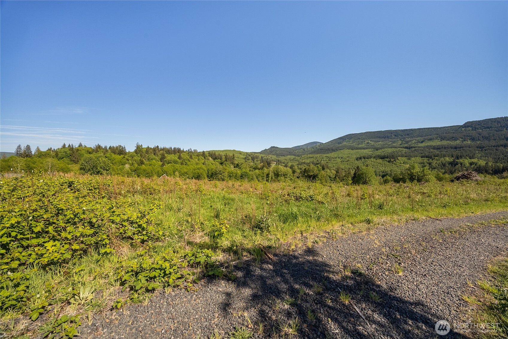 195 Hagen Road Mossyrock WA 98564