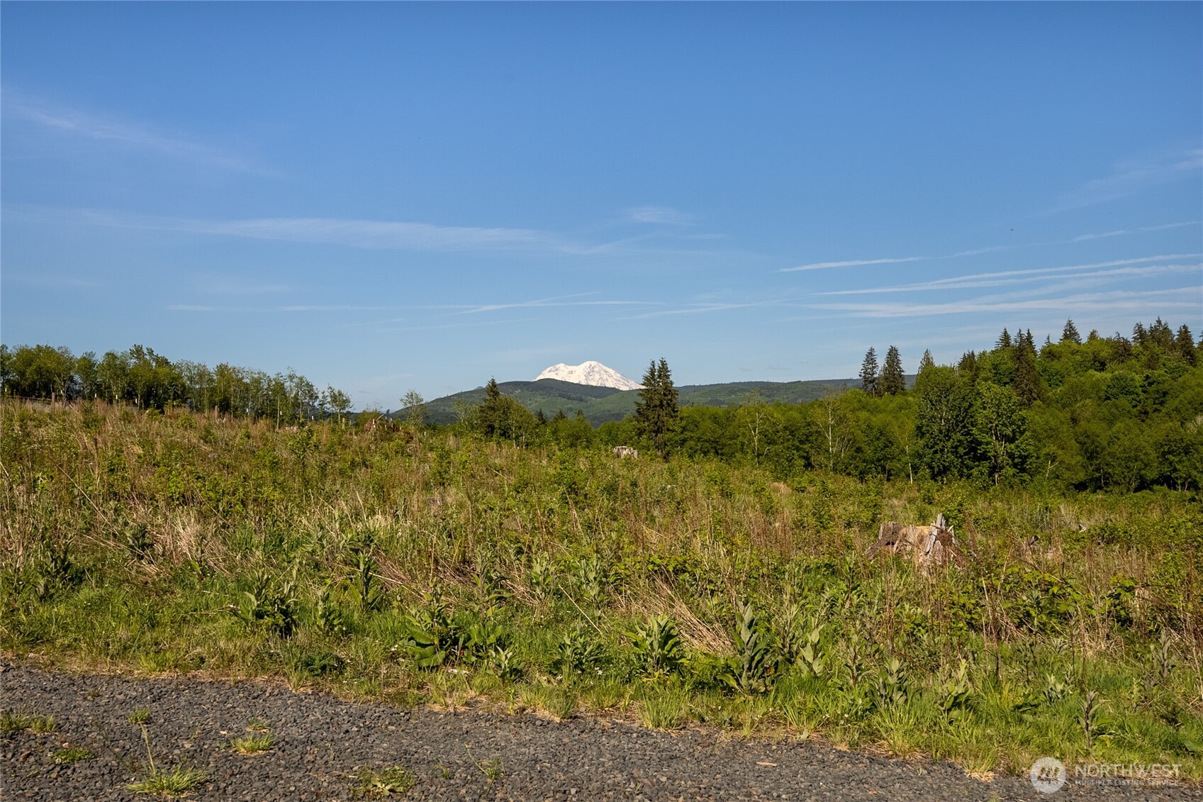 195 Hagen Road Mossyrock WA 98564